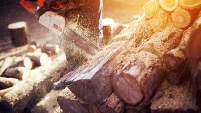 Schluss mit stumpfen Ketten: Entscheidende Fehler beim Schärfen