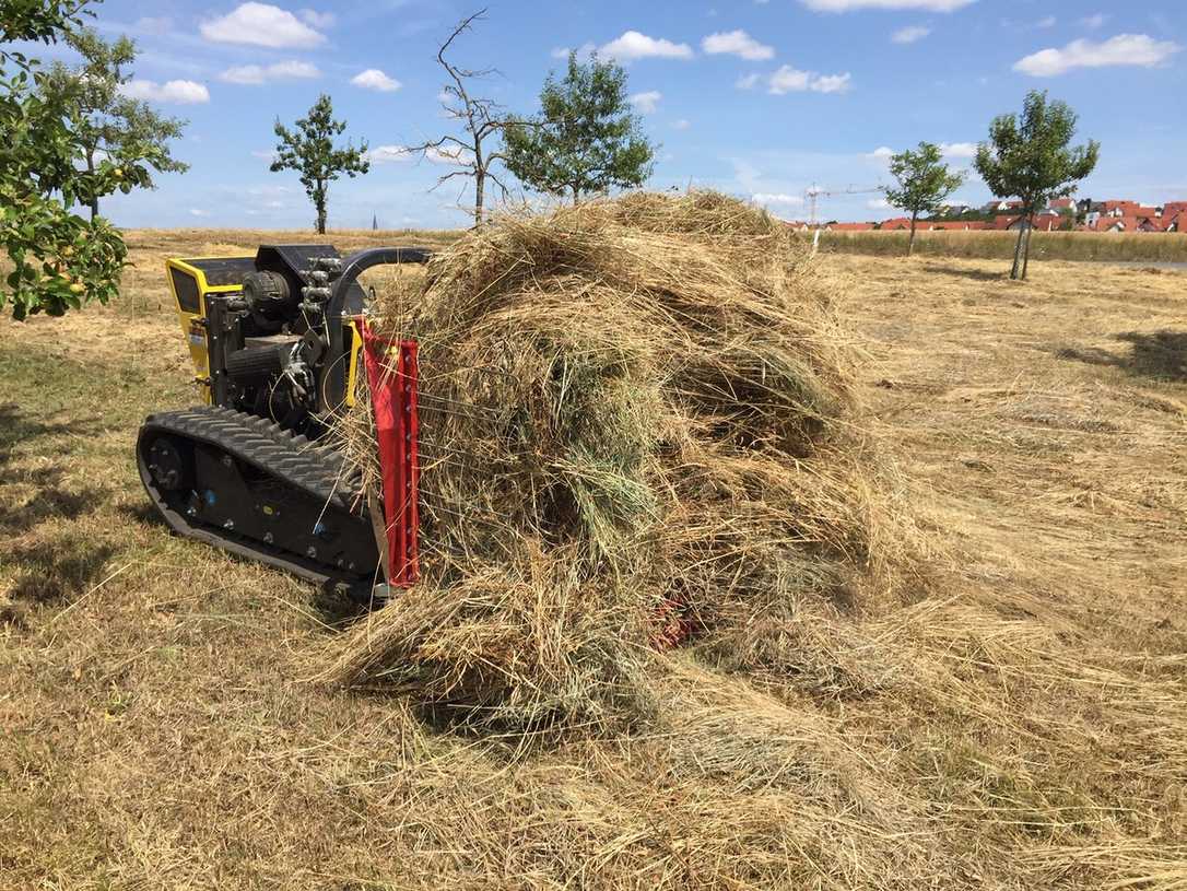 Mähgut-Verwertung: Innovative Verfahren und kreative Ideen Mähgut-Verwertung: Innovative Verfahren und kreative Ideen