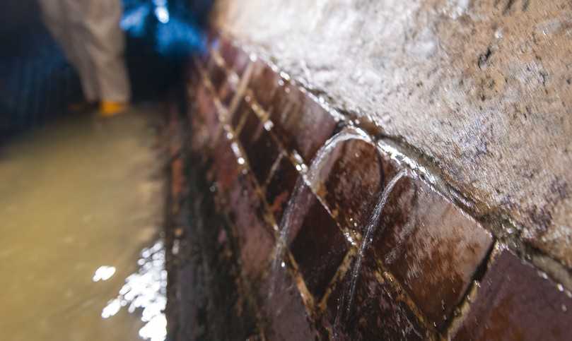 Zum Teil tritt das Wasser hier fingerdick aus der Wand. | Foto: Andreas Mauritz, Jockgrim Zum Teil tritt das Wasser hier fingerdick aus der Wand. | Foto: Andreas Mauritz, Jockgrim