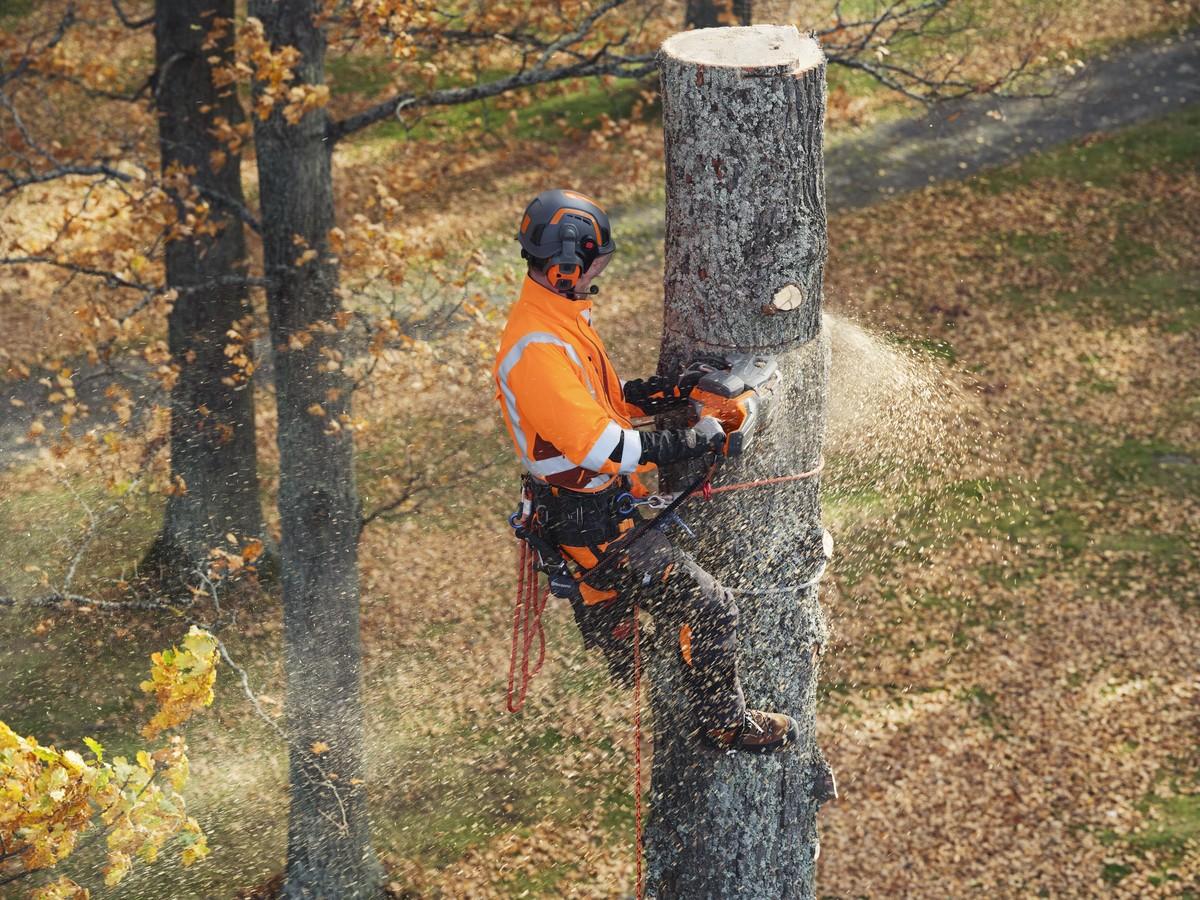 Kettensäge 550i XP ist ausgelegt für Schwertlängen von 13 bis 20 Zoll. | Foto: Husqvarna Kettensäge 550i XP ist ausgelegt für Schwertlängen von 13 bis 20 Zoll. | Foto: Husqvarna