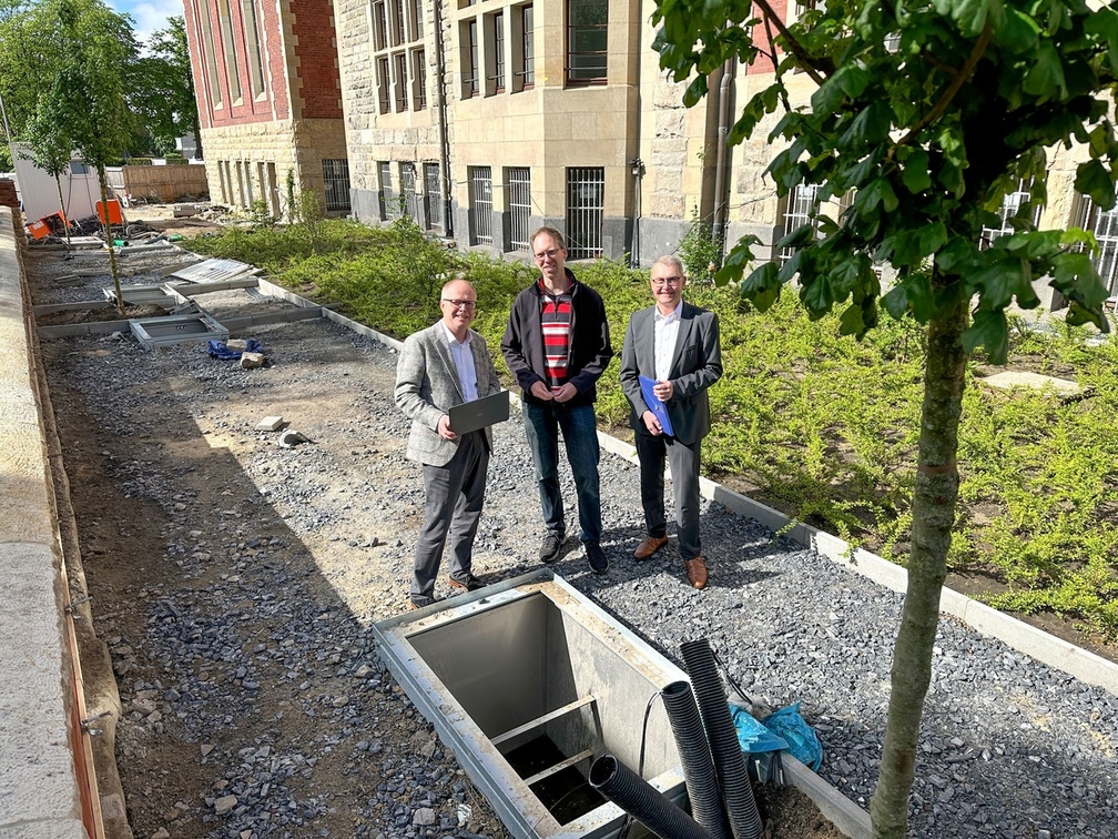 Innovative Baumrigolen sollen urbanes Klima verbessern