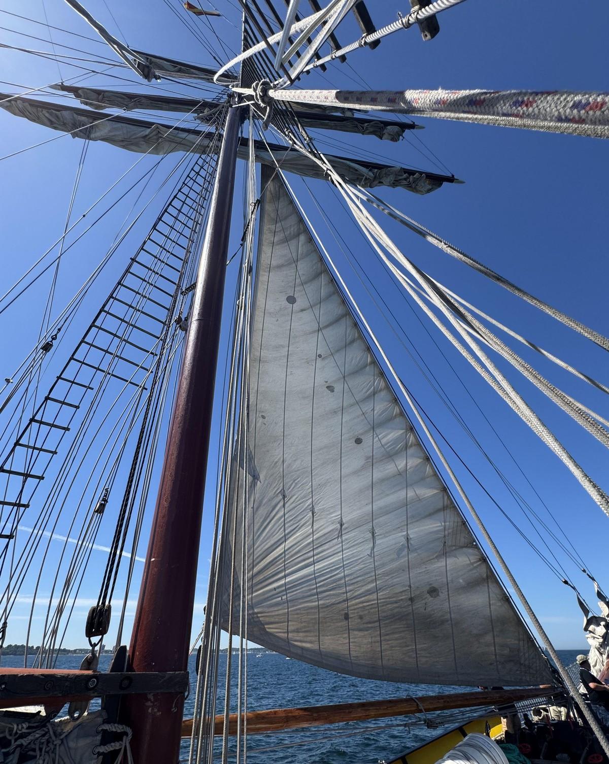 Mit frischem Wind voran: Die B_I MEDIEN luden im Juli zum "Zukunftstag Baumedien" ein. | Foto: B_I MEDIEN