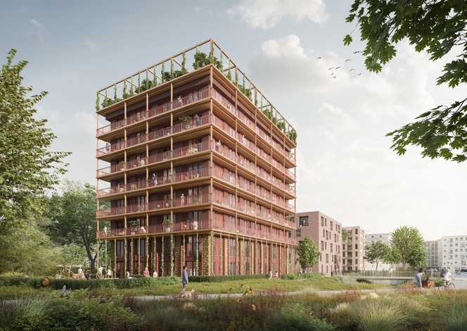 Holzbauprojekt „Willie“ startet in Wilhelmsburg