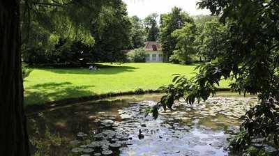 Warum die Drohne im grünen Juwel keine Spielerei ist