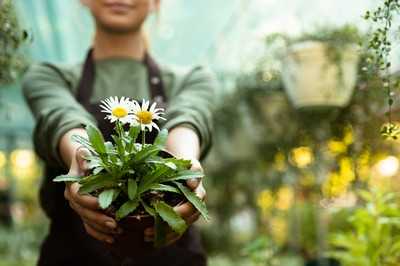 Beschäftigte im Gartenbau bekommen mehr Lohn und Gehalt