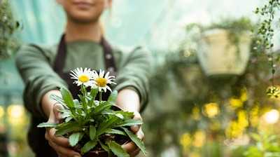 Beschäftigte im Gartenbau bekommen mehr Lohn und Gehalt