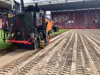 Rasen im Mainzer Bundesliga-Stadion rasend schnell saniert