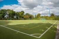 Auch GaLaBauer profitieren vom Bundesprogramm