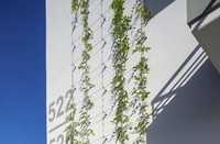 Rankhilfe für begrünte Dämmfassade