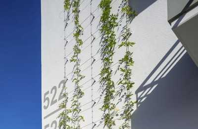 Rankhilfe für begrünte Dämmfassade