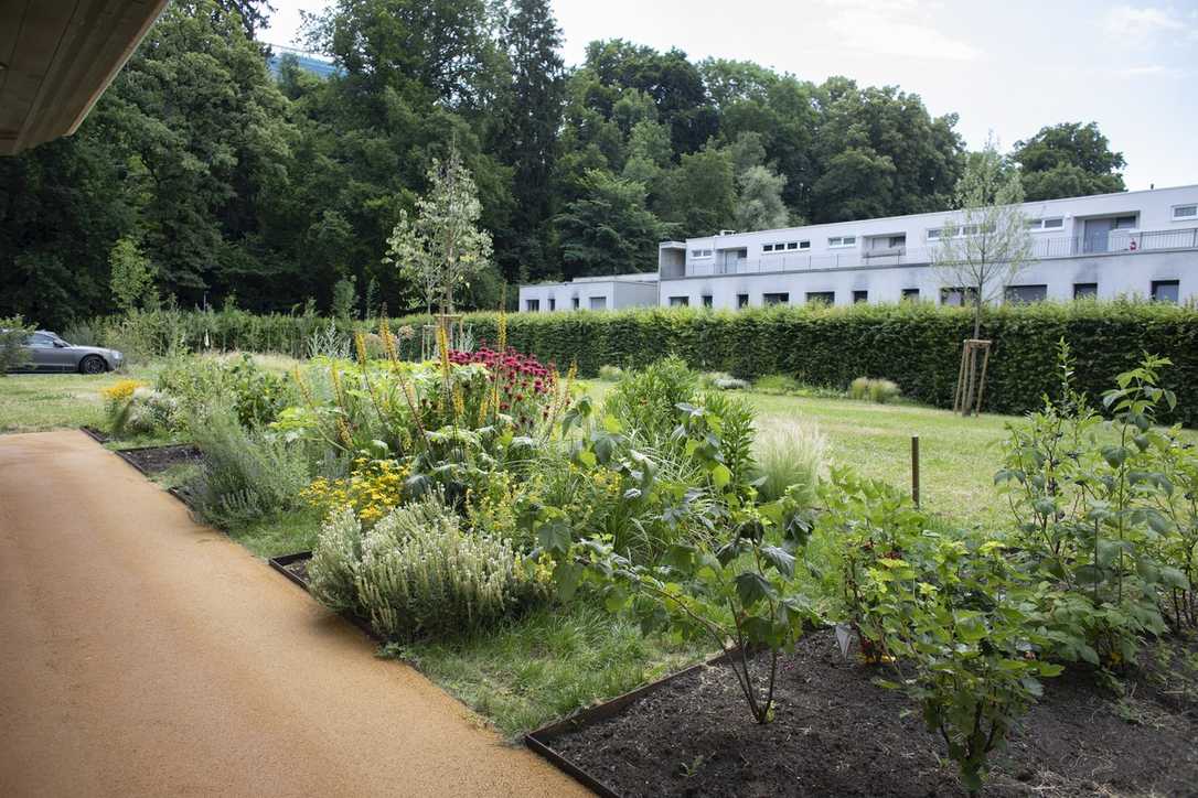 BIG SEE Award: Land Rise verwandelt Bank-Vorplatz in grüne Oase