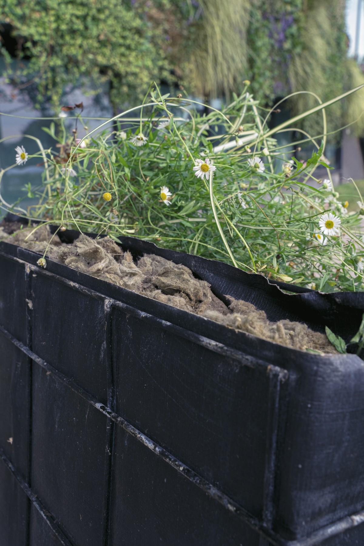 Die Pflanzen wachsen in Steinwolle. Sie ist feuerfest, speichert das Wasser und gibt es gleichmäßig an die Wurzeln ab. | Foto: Stihl
