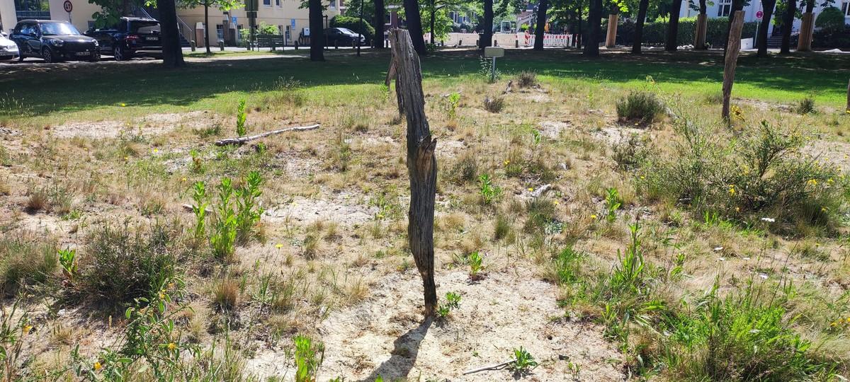 Ausgezeichnet: Sandarium in Oldenburg | Foto: Kommbio