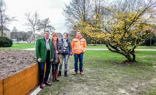 Neuer Verkehrsknotenpunkt erfordert Parkumgestaltung