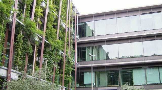 Außen grün und innen kühl