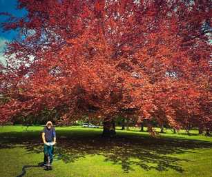 Gesunder Boden beugt Waldschäden vor