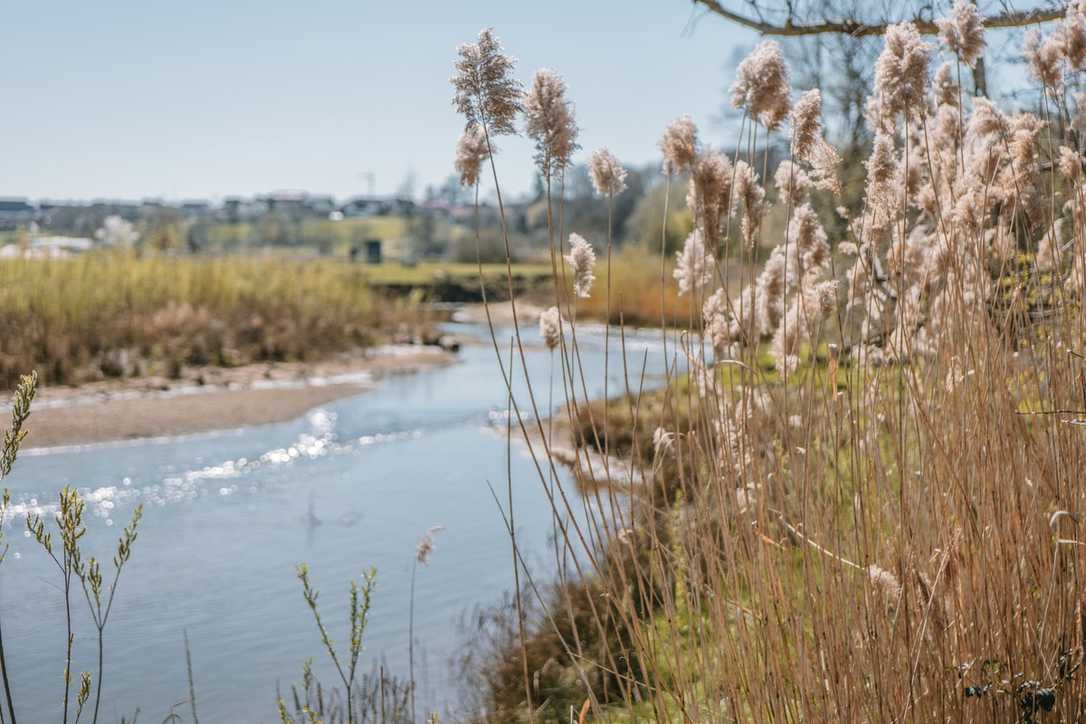 Landesgartenschau Ellwangen 2026: Highlights & Tickets