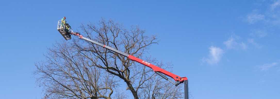 Hinowa Lightlift 40.18: Raupenbühne für Baumpflege im Test