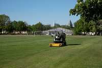 Mulchen, Vertikulieren und Aufsammeln in einem Schritt