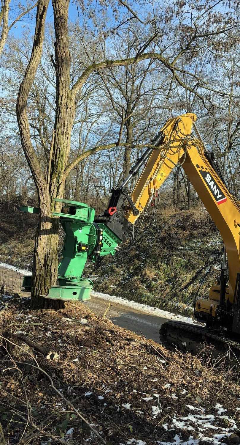 Baumstämme mit einer Stärke von bis zu 60 cm sind kein Problem für den 23-Tonner mit Fällschere. Der Bagger steht trotzdem fest und sicher. | Foto: Sany