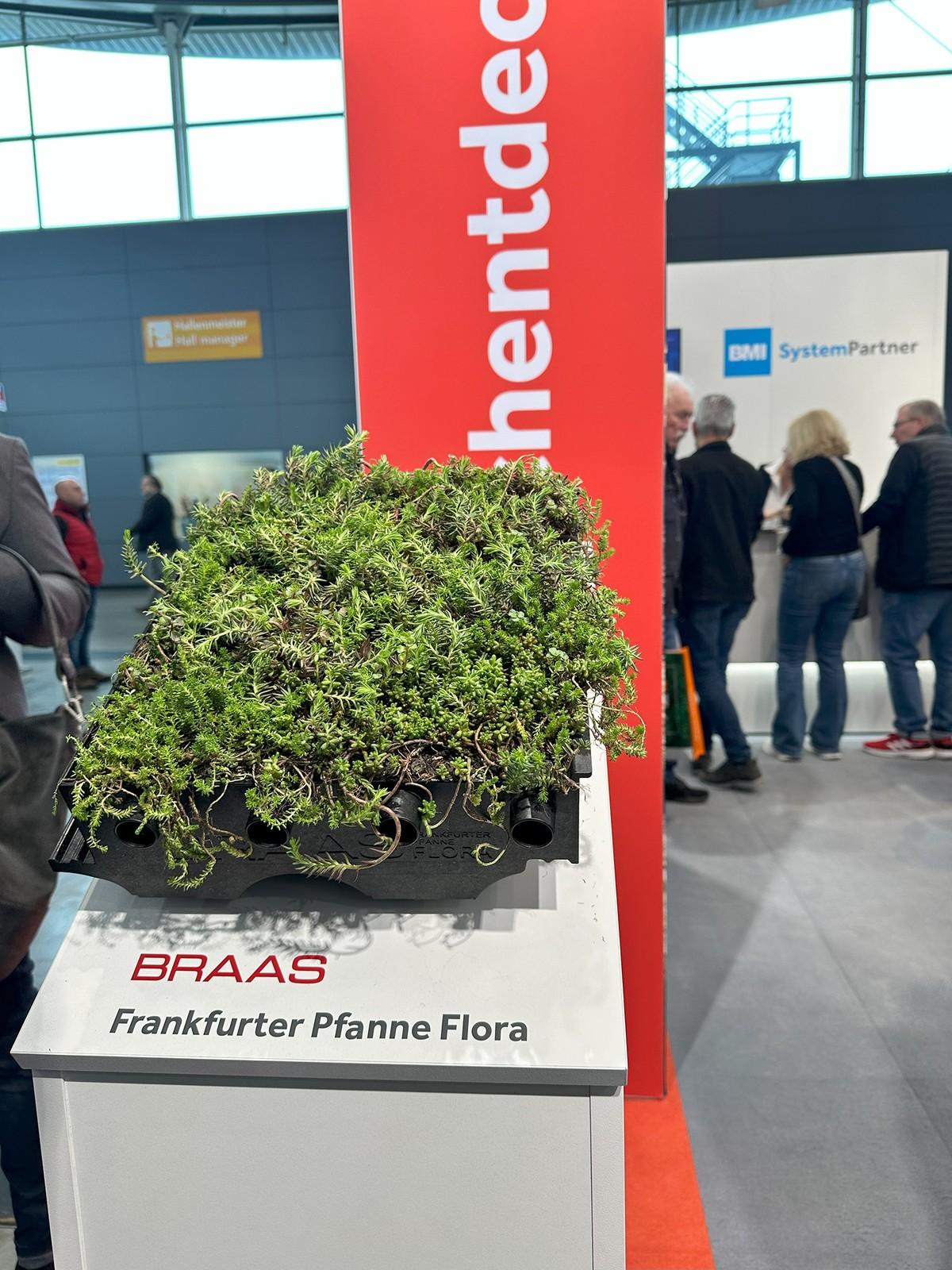 Das Steildach wird grün: die neue "Frankfurter Pfanne Flora" von Braas | Foto: BMI Das Steildach wird grün: die neue "Frankfurter Pfanne Flora" von Braas | Foto: BMI