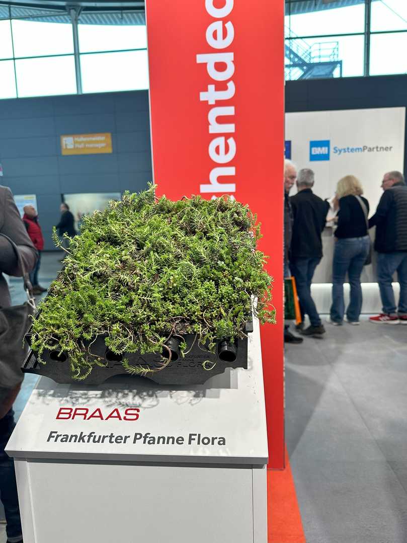 Das Steildach wird grün: die neue "Frankfurter Pfanne Flora" von Braas | Foto: BMI