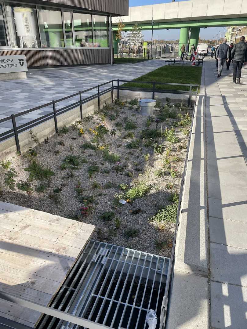 Eine Exkursion führte in die Seestadt Aspern vor den Toren Wiens, wo das sogenannte Schwammstadtprinzip erläutert und die Erstellung der Baumgruben mit dem Regenwassermanagement in der Praxis gezeigt wurde. | Foto: EAC Eine Exkursion führte in die Seestadt Aspern vor den Toren Wiens, wo das sogenannte Schwammstadtprinzip erläutert und die Erstellung der Baumgruben mit dem Regenwassermanagement in der Praxis gezeigt wurde. | Foto: EAC