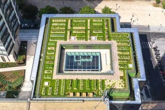 Von oben betrachtet, kann man die akkurat angeordneten Pflanzbeete sehr gut erkennen. | Foto: Drone-view Von oben betrachtet, kann man die akkurat angeordneten Pflanzbeete sehr gut erkennen. | Foto: Drone-view