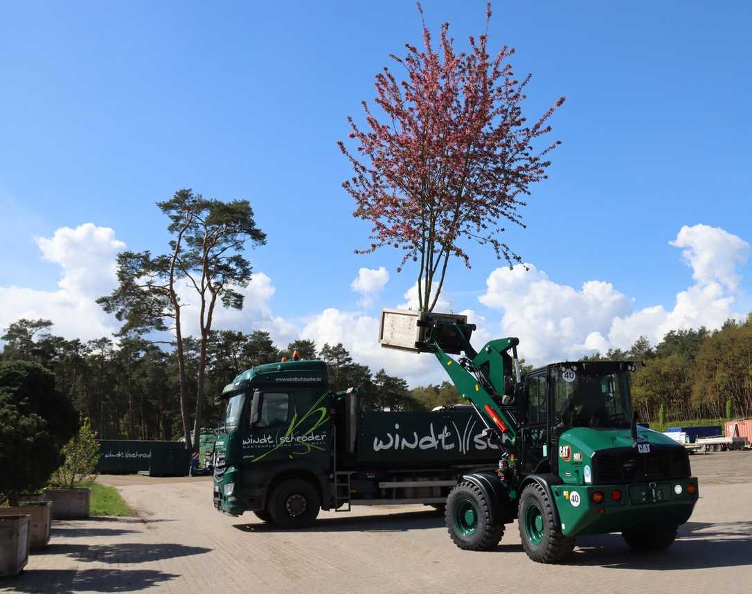 Neues Trio an Cat Radladern 908 hält bei dem Galabauer Windt & Schröder Einzug Neues Trio an Cat Radladern 908 hält bei dem Galabauer Windt & Schröder Einzug