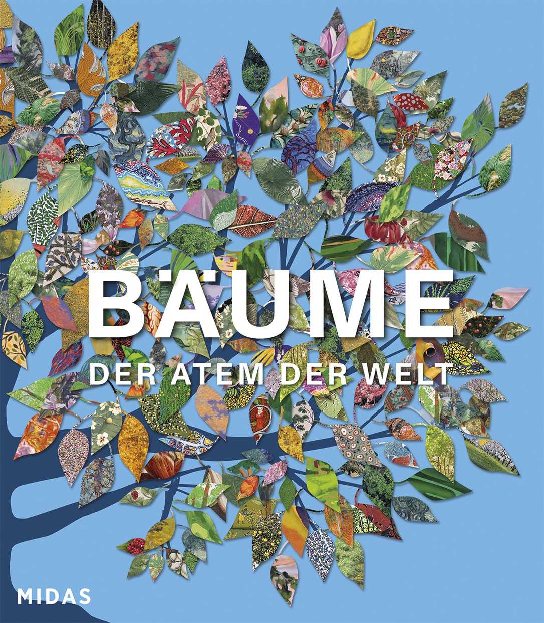 „Bäume – Der Atem der Welt“: Eine ruhige, eindringliche Einladung