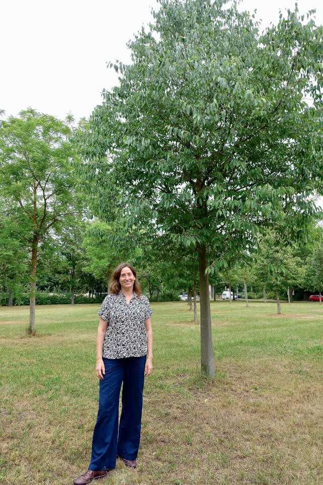 Petra Wang ist Stadtbaum-Managerin beim Servicebetrieb Öffentlicher Raum (SÖR) in Nürnberg. Im Klimahain erläuterte sie der B_I galabau Ergebnisse aus der Bonitur am 03.08.2020.