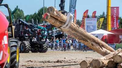 Motorsägen, KI und ganz viel Fachkunde