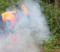 Abgase in der Baumpflege