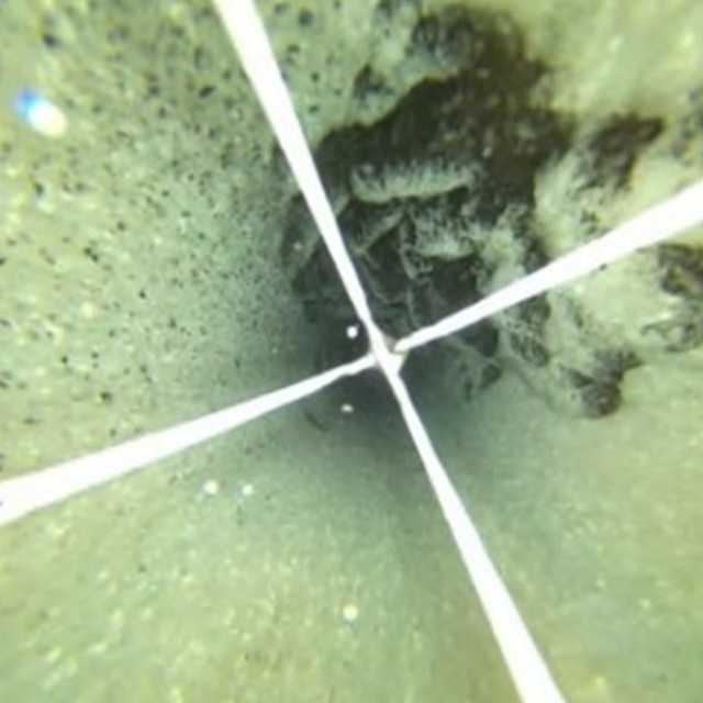 Ablagerungen im Inneren eines Brunnenloches senken die Effizienz von Geothermiebohrungen. Im Projekt Rosiger wird Coiled-Tubing genutzt, um die Ablagerungen schnell zu entfernen. | Foto: V. Wittig/Fraunhofer IEG