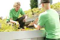 Lohnt sich eine Lehre im Garten- und Landschaftsbau?