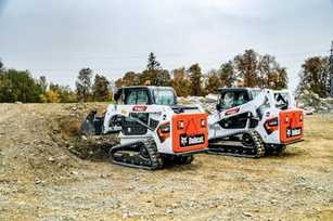 Vorschau auf die neuen starken Katzen