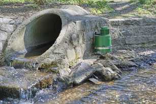 Nachhaltiges Rattenmanagement wird verbindlich