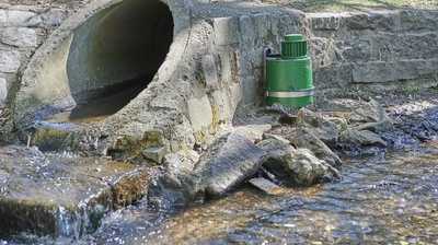 Nachhaltiges Rattenmanagement wird verbindlich