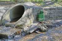 Nachhaltiges Rattenmanagement wird verbindlich