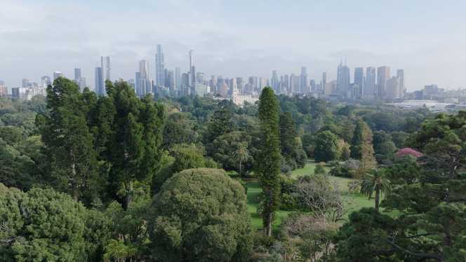 Melbournes grüne Antwort auf die Hitze