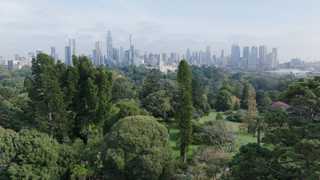 Melbournes grüne Antwort auf die Hitze