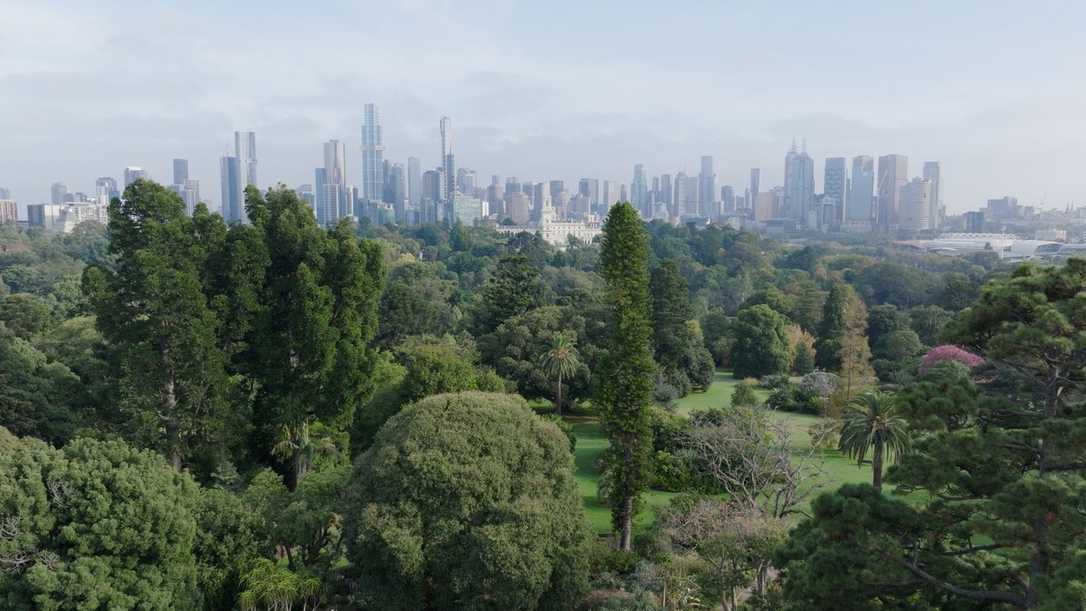 Stadtbegrünung Melbourne: Klimaanpassung gegen Hitze mit Bäumen und Schwammstadt-Prinzip