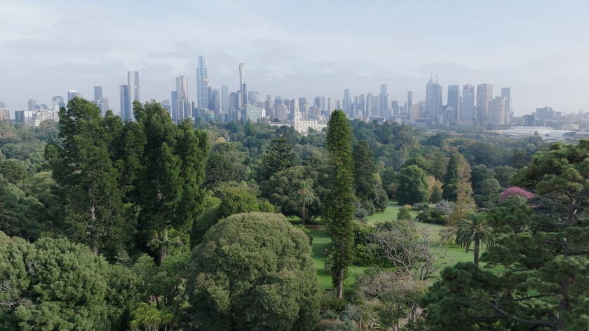 Melbournes grüne Antwort auf die Hitze