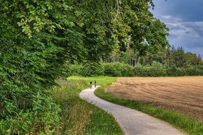 Wie Schleswig-Holstein seine Radwege zukunftsfest macht
