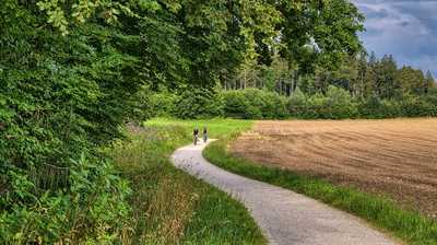 Wie Schleswig-Holstein seine Radwege zukunftsfest macht