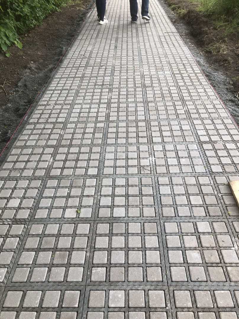 Lastverteilende Plattenkonstruktion als alternative Bauweise im sensiblen Wurzelbereich | Foto: LBV.SH Lastverteilende Plattenkonstruktion als alternative Bauweise im sensiblen Wurzelbereich | Foto: LBV.SH