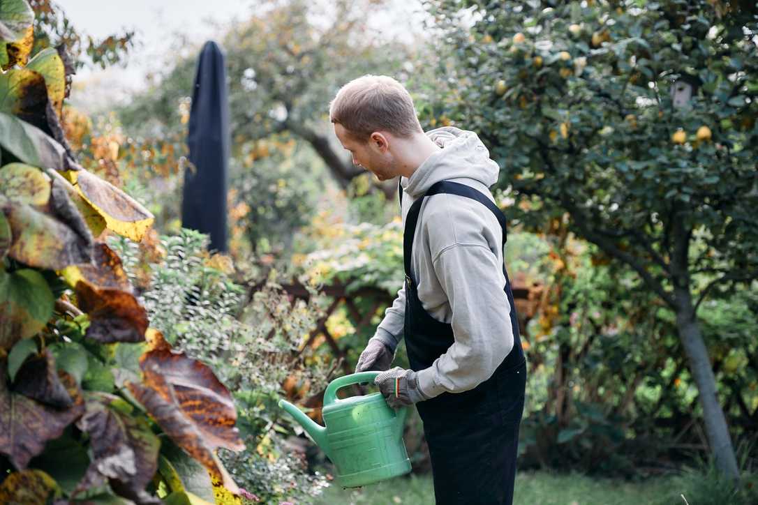 Jetzt bewerben um den BGL-Bildungspreis 2026 Jetzt bewerben um den BGL-Bildungspreis 2026