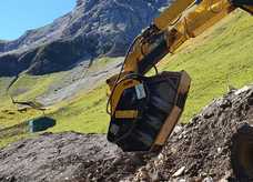 Backenbrecherlöffel macht Flug über die Alpen