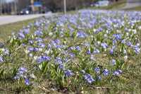 Grün auch in der Klimakrise