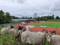 „Wir folgen dem humboldtschen Prinzip des lebenslangen Lernens“